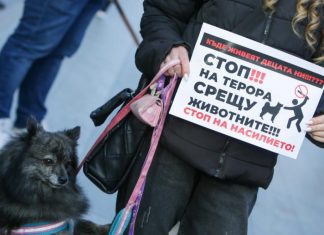Насилие над животно в Русе?