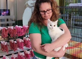 Парализирано коте Точка събира средства за бездомни животни в Русе