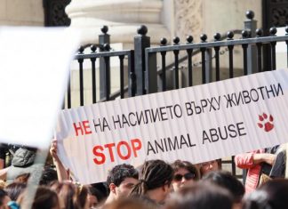 Русе се включва в протестите срещу жестокостта към животни