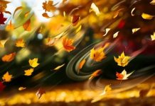 Прогноза: Златна есен през ноември