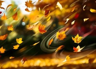 Прогноза: Златна есен през ноември