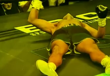 Гасиев нокаутира Кубрат Пулев