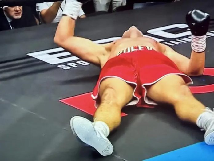 kubrat_pulev-nokaut091