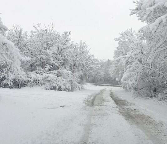 До 35 см. сняг в Ценовско, възстановено е електрозахранването във Ветово и Писанец