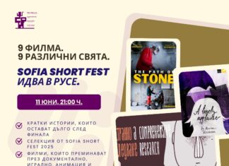 Русенската галерия кани на „Кино под звездите“